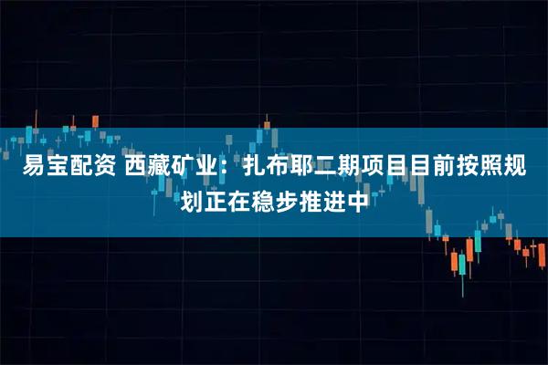 易宝配资 西藏矿业：扎布耶二期项目目前按照规划正在稳步推进中