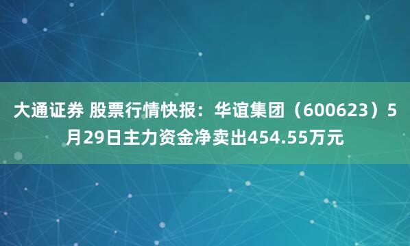 大通证券 股票行情快报：华谊集团（600623）5月29日主力资金净卖出454.55万元