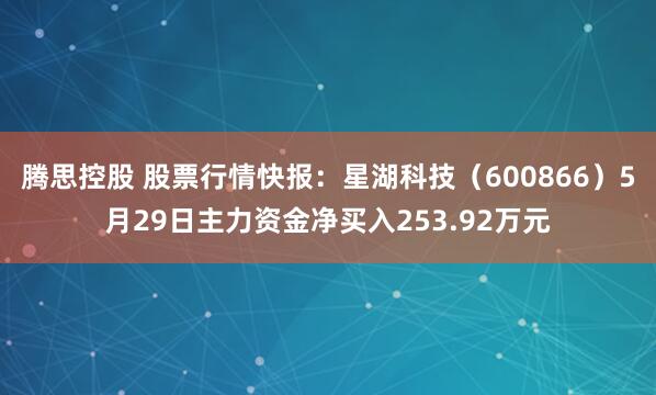 腾思控股 股票行情快报：星湖科技（600866）5月29日主力资金净买入253.92万元