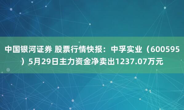 中国银河证券 股票行情快报：中孚实业（600595）5月29日主力资金净卖出1237.07万元