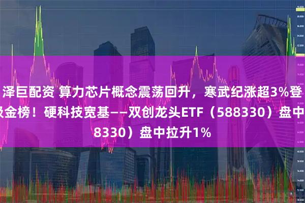 泽巨配资 算力芯片概念震荡回升，寒武纪涨超3%登顶A股吸金榜！硬科技宽基——双创龙头ETF（588330）盘中拉升1%